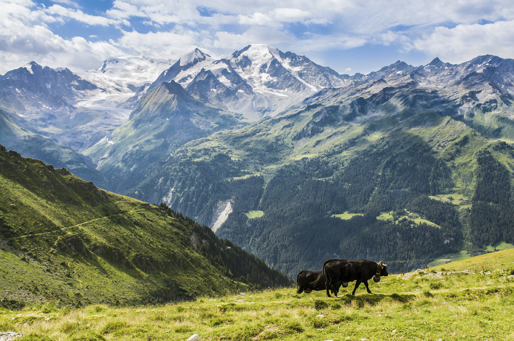Val de Bagnes, Grand Combin
