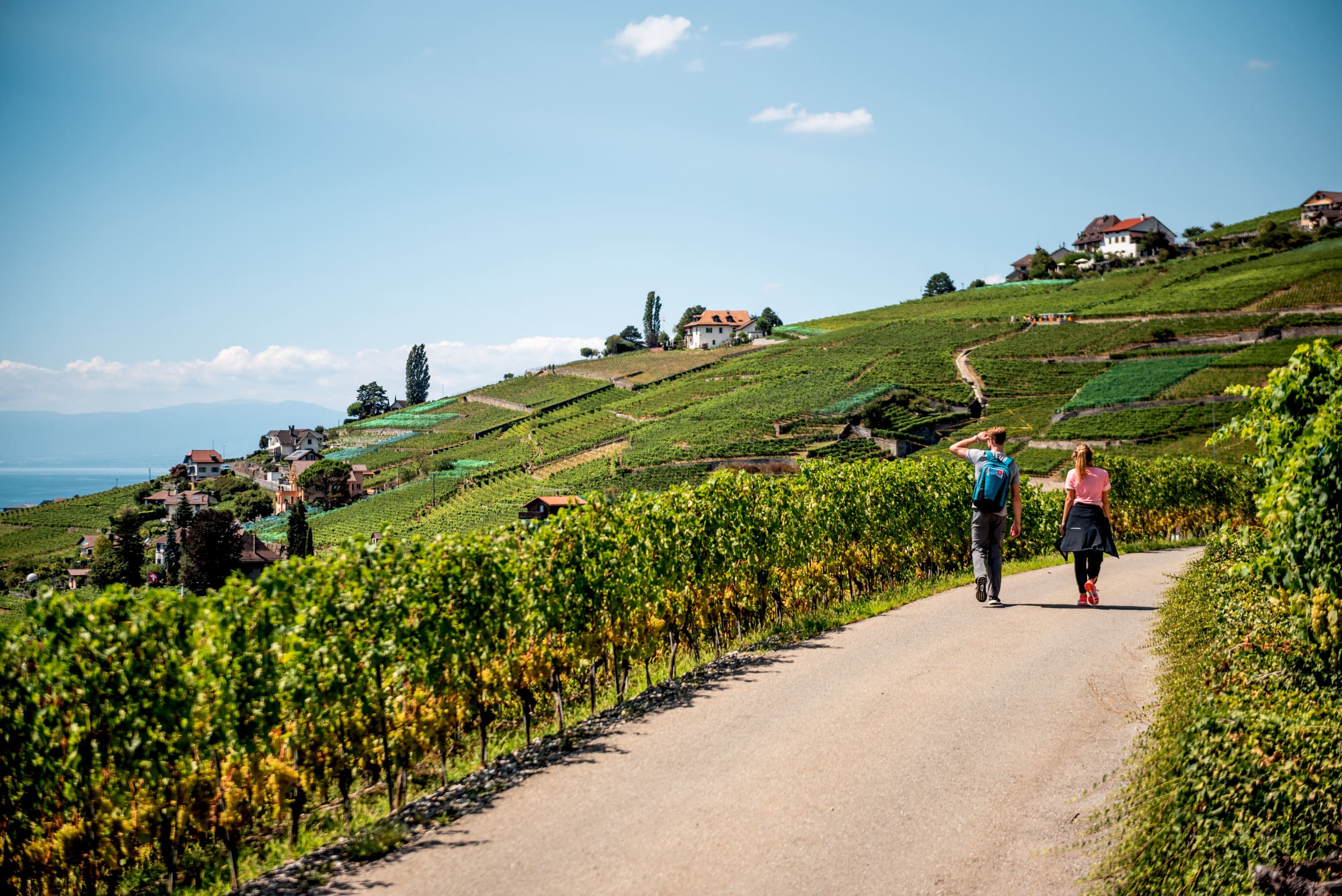 Lavaux Hiking