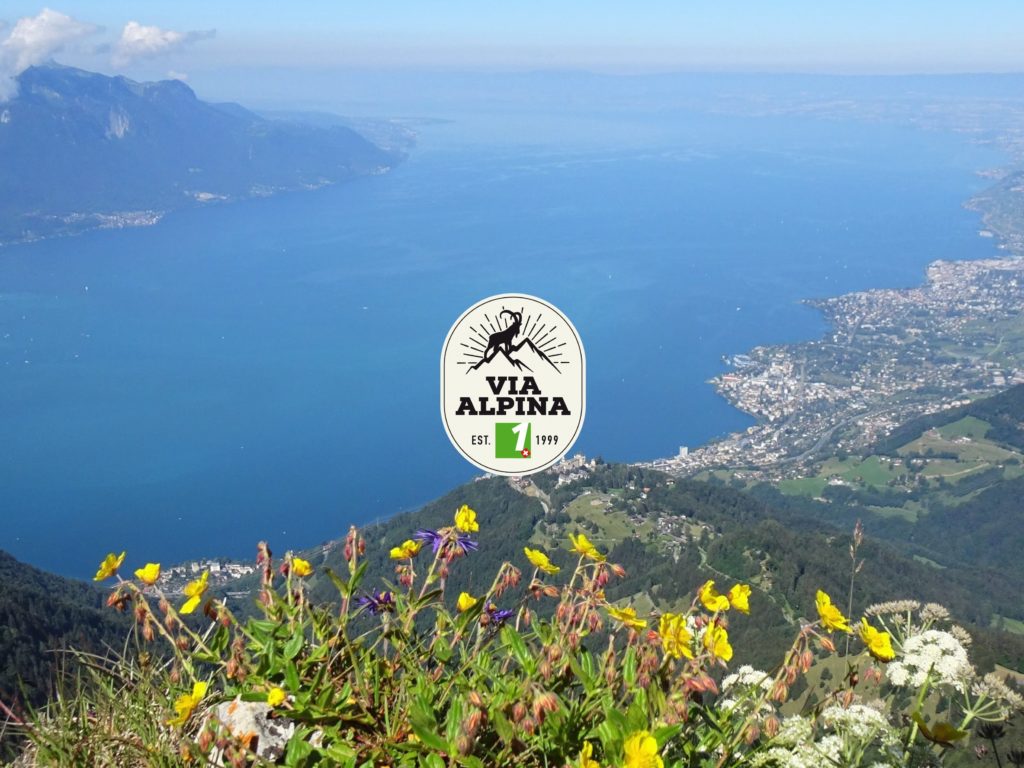 Via Alpina - Finale-Logo