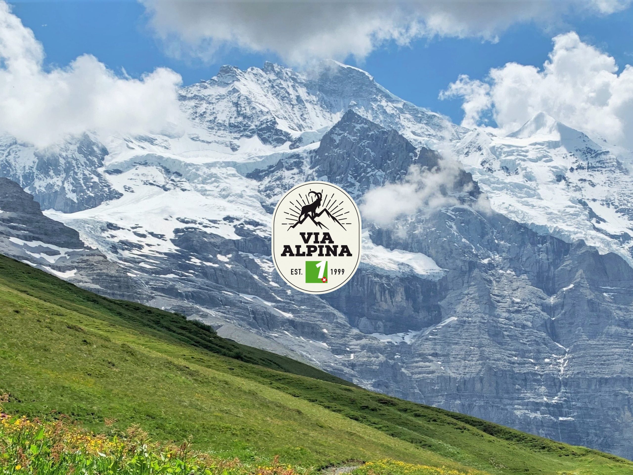 Via Alpina - Herz Logo